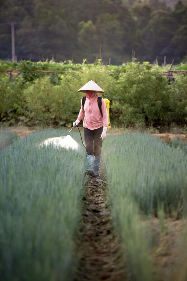 A farmer using a sprayer on a farm with greenery, wearing a traditional conical hat.
